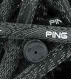 Ping