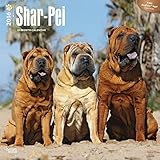 Shar-Pei 2016 Wall Calendar