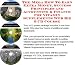 Book The Mega How To Earn Extra Money, Success Principles and Accounting & Finance for Vitamin Supplements Web Biz 3 CD Course