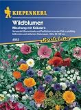 Details zu "Wildblumenmischung mit Kräutern ein- und mehrjährige Mischung MEGA-PACK" Details zu "Wildblumenmischung mit Kräutern ein- und mehrjährige Mischung MEGA-PACK"
