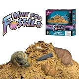 Mine for Fossils - Excavate 10 Real Fossils with this Fun Digging Kit!by Discover with Dr. Cool