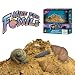 Mine For Fossils Science Kit