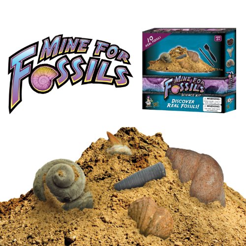 Mine For Fossils Science Kit-image