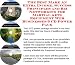 Search : The Best Make An Extra Income, Sucess Principles and Biz Networking for Martial Arts Equipment Web Businesses 3 CD Power Pack