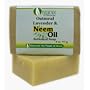 Oatmeal Lavender Neem Soap Bar 4 oz.