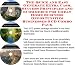 The Quick and Easy Generate Extra Cash, Success Principles and eCommerce for Great Home Business Opportunities Businesses 3 CD Combo Pack