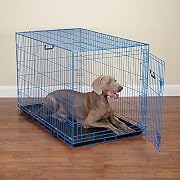 Crate Appeal Blue Color Dog Crate