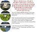 The Special Earn More Money, Inner Game and Godfather Principles for Blow Dryers Internet Businesses 3 CD Power Pack