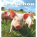 Cochon