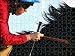 Jigsaw of Horse Racing - Epsom Live! featuring UB40 - Epsom Downs Racecourse from Press Association 