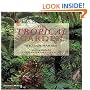 The Tropical Garden