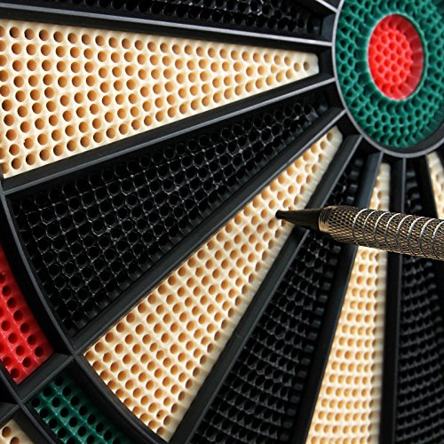 physionics dartscheibe test