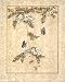 Animal Butterfly Asian Lotusdeco Art Poster Print - 16" X 20"