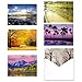 Breathtaking Landscape Note Card Pack / 36 Nature All Occasion Greeting Cards With White Envelopes Set / 6 Colorful Outdoor Scenery Designs / 3 1/2