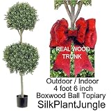 61%2BmIkAEdQL. SL160  Artificial Outdoor Indoor Potted 3 foot 6 inch Boxwood Ball Topiary Trees with branches on real wood trunk