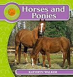 Horses and ponies