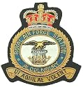 RAF Royal Air Force Alcolnbury Blazer Badge
