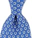 Indianapolis Colts Neck Tie