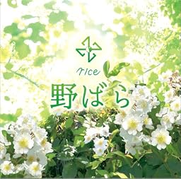 野ばら(初回限定盤)