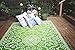 Fab Habitat Outdoor Rug - Waterproof, Fade Resistant, Crease-Free - Premium Recycled Plastic - Persian Floral - Patio, Deck, Porch, Balcony, Laundry Room - Murano - Lime Green & Cream - 4 x 6 ft