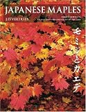 Japanese Maples image