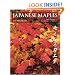 Japanese Maples