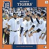 Turner Perfect Timing 2015 Detroit Tigers Team Wall Calendar, 12 x 12 Inches (8011636)