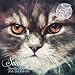 Drink (Original Mix)