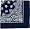 Dozen-Navy Blue Paisley