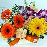 ���i�̏ڍ�