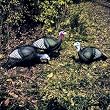 Delta Flock Of Turkey Decoys
