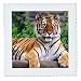 3dRose qs_3132_1 Siberian Tiger Quilt Square, 10 by 10-Inch