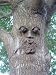 Whistlin' Pete Forest Face Tree Face by Genuine Tree Peeple