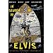 In Search Of Elvis: Music, Race, Art, Religion