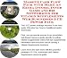 Book Massive Cash Flow Pack with Make An Extra Income, Inner Game and Biz Networking for Vitamin Supplements Web Businesses 3 CD Power Pack