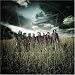 All Hope Is Gone [Vinyl LP]
