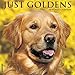 2016 Just Goldens Wall Calendar