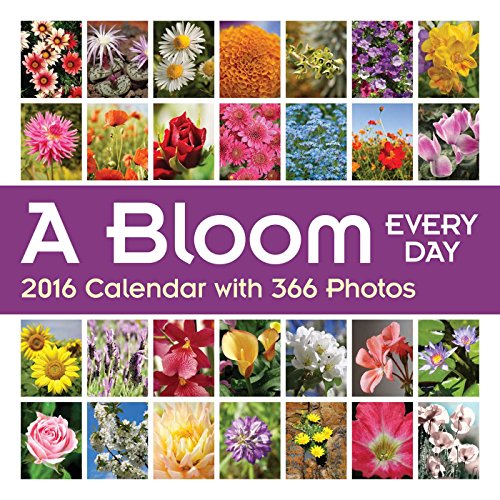 A Bloom Every Day 2016 Wall Calendar: with Over 365 Photos
