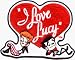 I Love Lucy - Lucy and Ricky with Heart - Embroidered Iron On or Sew On Patch