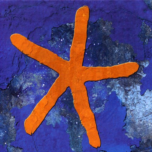 Fish - 13th Star - Zortam Music