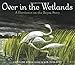Over in the Wetlands: A Hurricane-on-the-Bayou Story