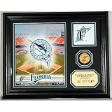 Highland Mint Floria Marlins Team Pride Photo Mint