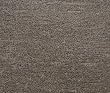 Loopy - Beaver 7 Yard Whole Bolt Fabric