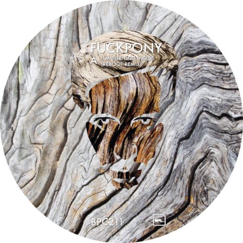 Produkt-Bild: Burning Remix (Paul Ritch/Reboot Rmx) [Vinyl Single]