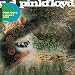 Pink-Floyd-Saucerful of Secrets cd cover