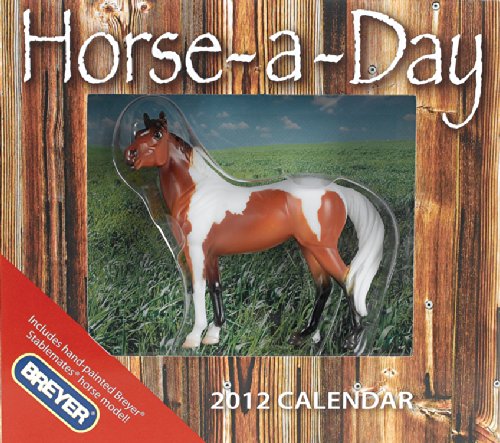 horse a day 2012 wtoy