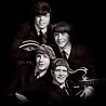 Image of The McCoys