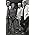 Vignette de The Nitty Gritty Dirt Band