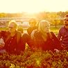 Image de Heartless Bastards