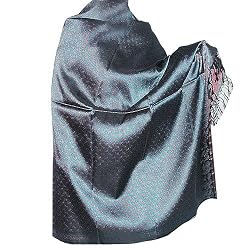Wraps Shawls Paisley Pattern Silk Winter Clothing 44 x 72 inches (bssl026)